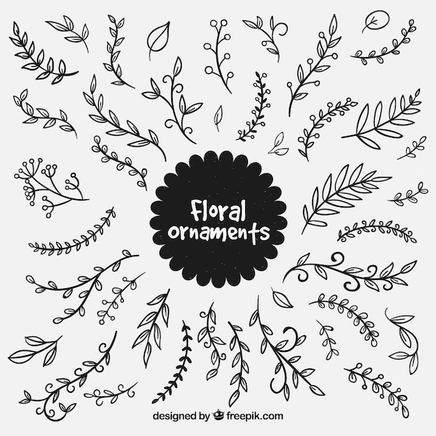 Gratis vector set hand getekende blad ornamenten