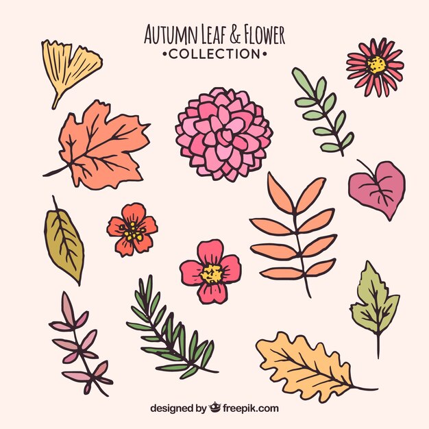 Set hand getekende herfstbladeren en bloemen