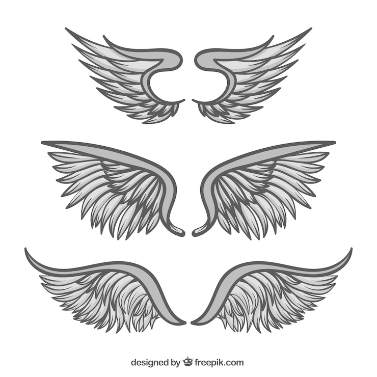 Gratis Vector set hand getekende vleugels