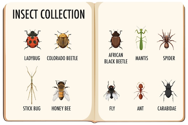 Gratis vector set insectencollectie in het boek