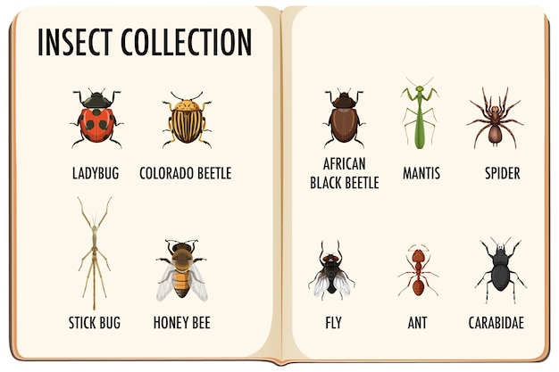Set insectencollectie in het boek