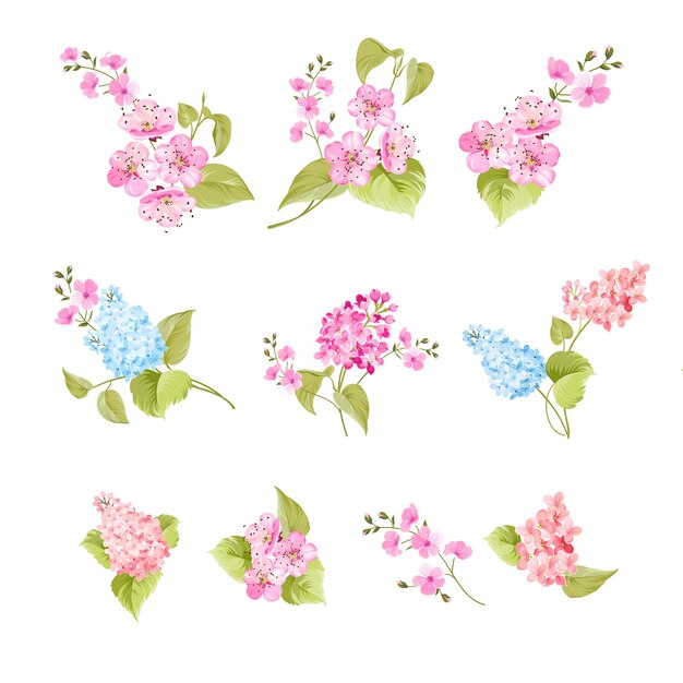 Set sakura en lila bloemen elementen