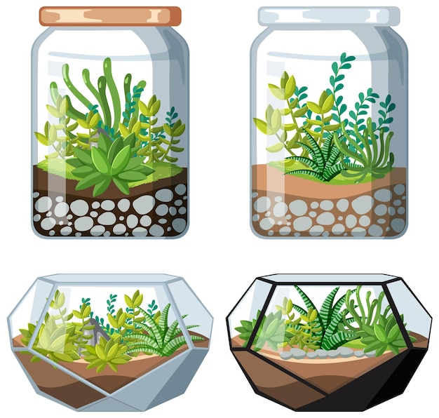 Gratis vector set terrariumplanten in pot