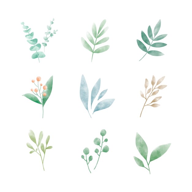 Set van aquarel bladeren vectoren