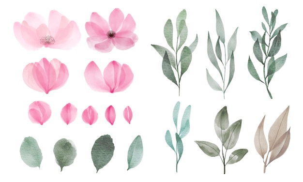 Gratis vector set van aquarel bloem en blad voor groet en uitnodiging kaartdecoratie.