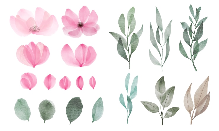 Gratis Vector set van aquarel bloem en blad voor groet en uitnodiging kaartdecoratie.