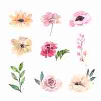 Gratis vector set van aquarel roze pioen, handgetekende illustratie van bloemen