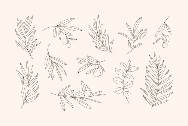 Set van bladeren en tak. overzicht palmblad en olijftak in een trendy minimalistische stijl. vectorillustratie voor het afdrukken op t-shirt, webdesign, schoonheidssalons, posters, het maken van een logo en patronen