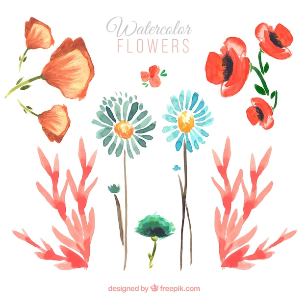 Gratis vector set van bloemen beschilderd met waterverf