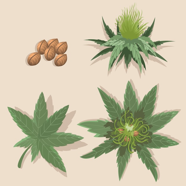 Set van botanische cannabisbladeren