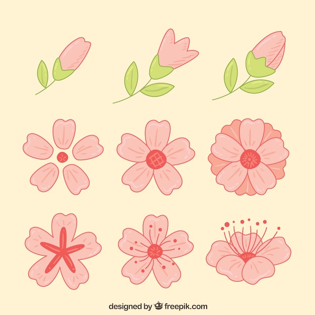 Gratis vector set van de hand getekende kersenbloesems