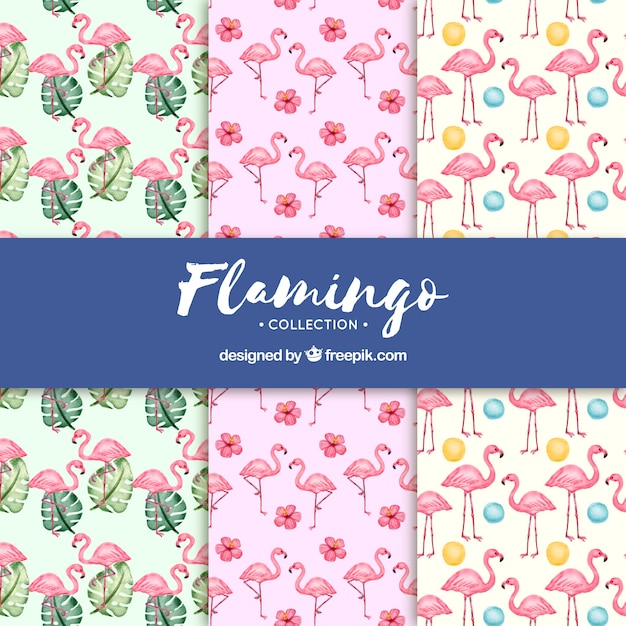 Set van flamingo patronen met planten