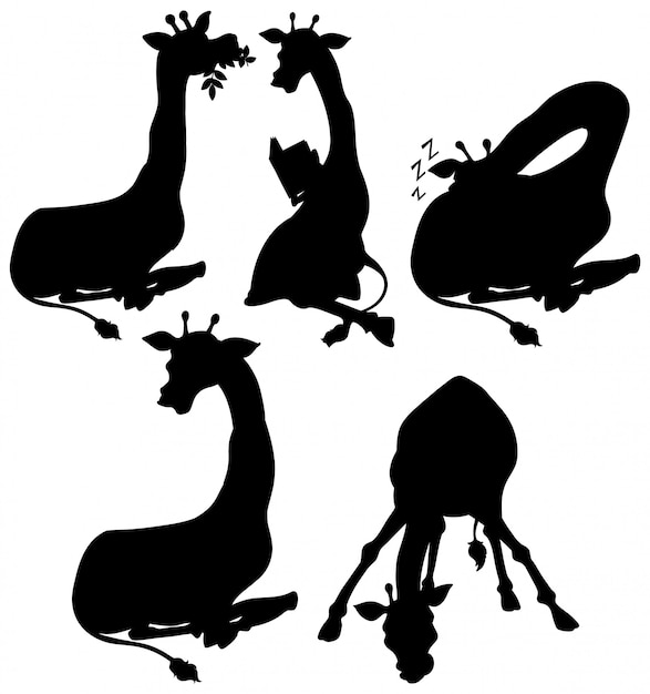 Set van giraffe silhouet