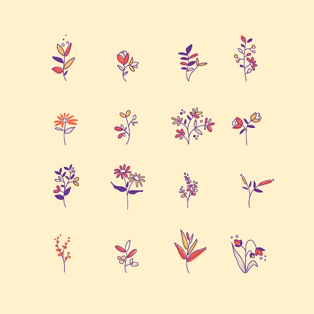 Set van hand getrokken botanische elementen vector