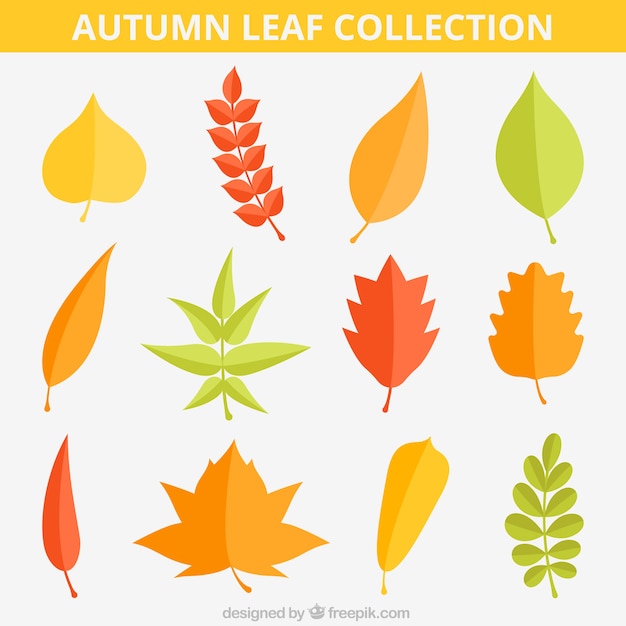 Gratis vector set van herfstbladeren in vlakke stijl