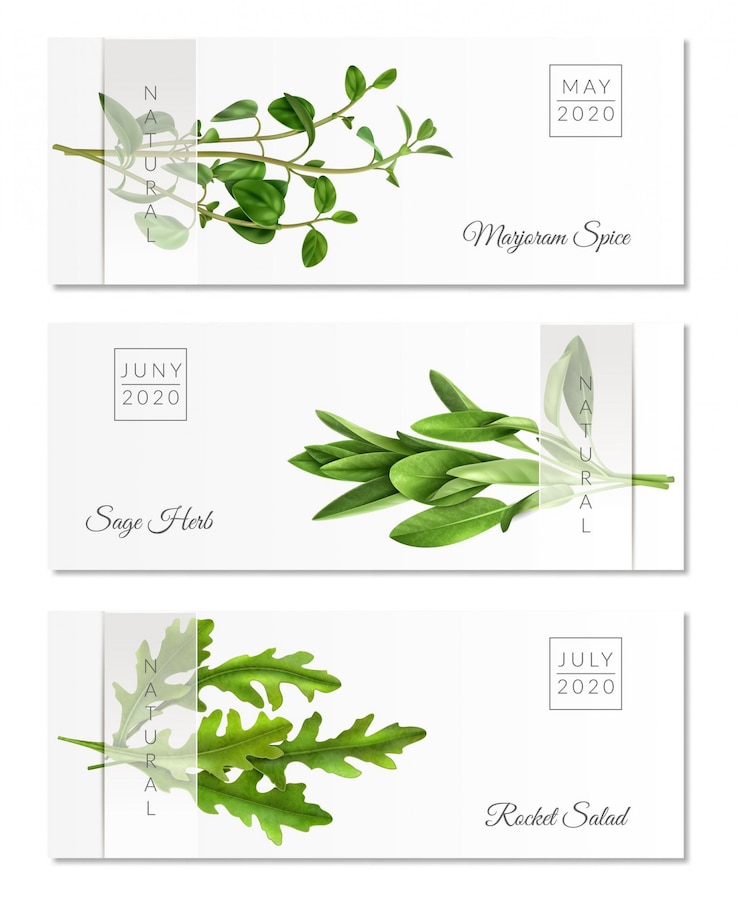 Gratis Vector set van horizontale banners met realistische kruiden op wit met transparant lint geïsoleerd