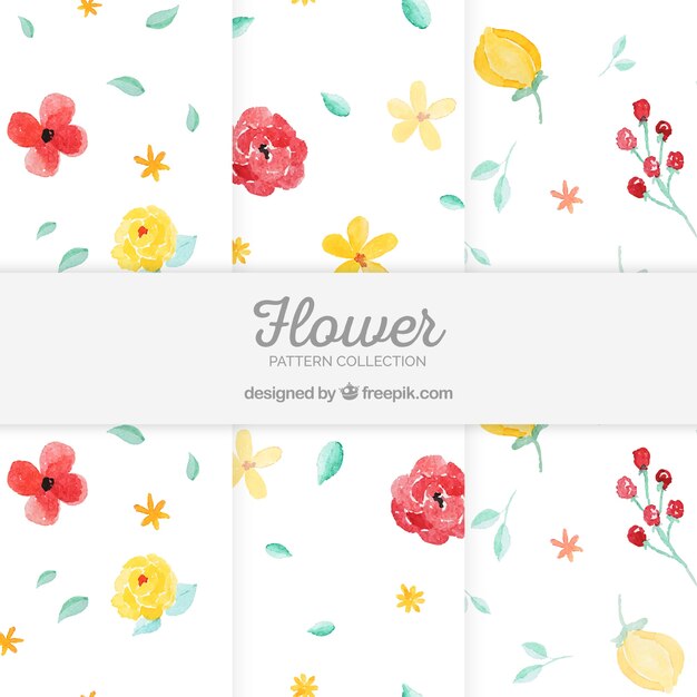 Set van kleurrijke bloemen patronen