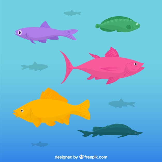 Gratis vector set van kleurrijke vissen in de hand getrokken stijl