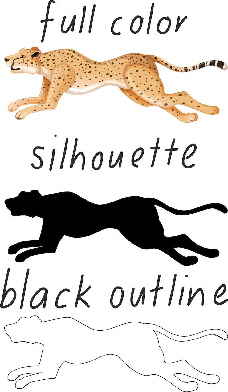 Gratis Vector set van luipaard in kleur, silhouet en zwarte omtrek op witte achtergrond