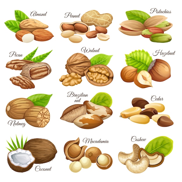 Set van noten voedselgranen.