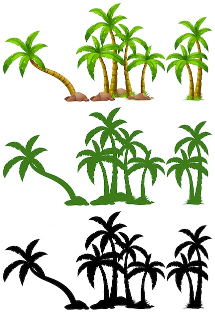 Gratis vector set van palmboom