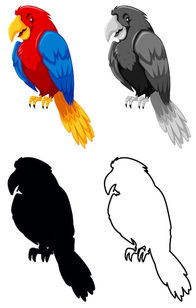 Set van papegaaien karakter