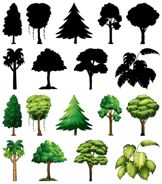 Set van plant en boom met zijn silhouet