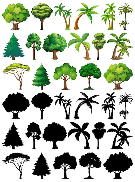 Set van plant en boom met zijn silhouet