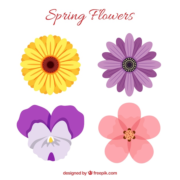 Set van prachtige lente bloemen