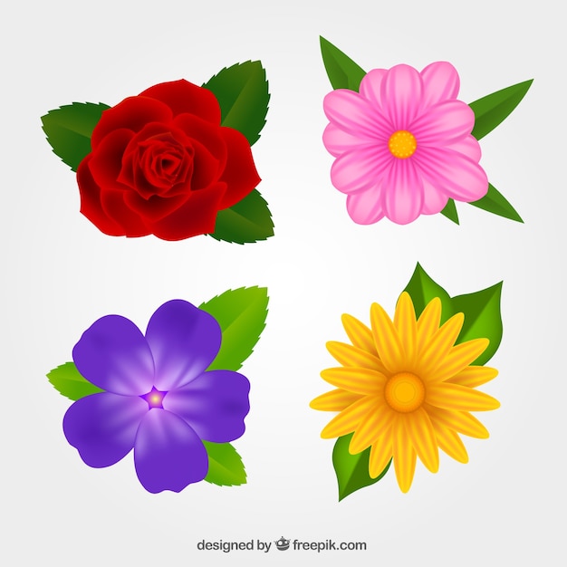 Gratis vector set van realistische bloemen met verschillende kleuren