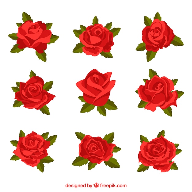 Gratis vector set van rode rozen