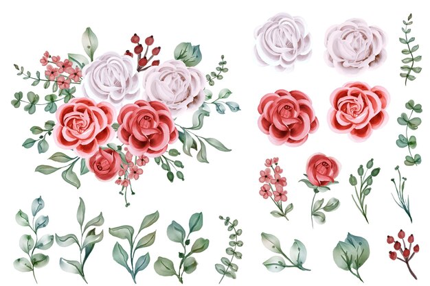 Set Van Rose Aquarel Geïsoleerde Bloem Object