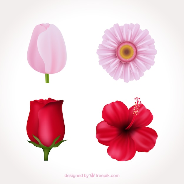 Gratis vector set van roze bloemen in realistische stijl