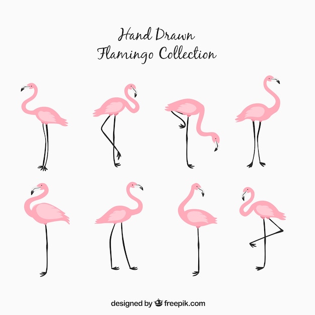 Gratis vector set van roze flamingo's in de hand getrokken stijl