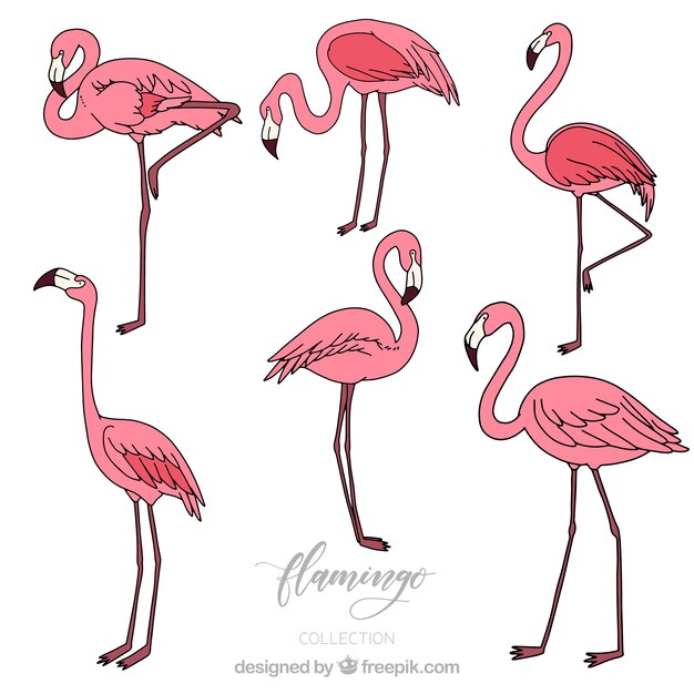 Set van roze flamingo&#39;s in de hand getrokken stijl