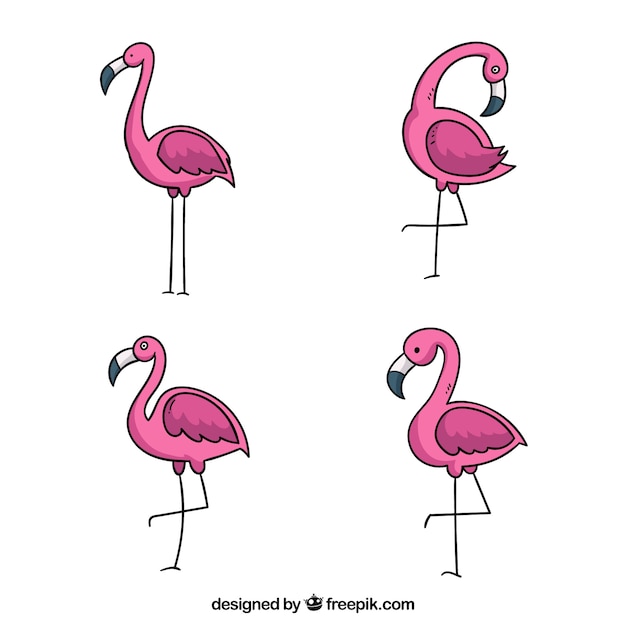 Gratis vector set van roze flamingo's met verschillende houdingen