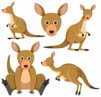 Gratis vector set van schattige kangoeroe stripfiguur