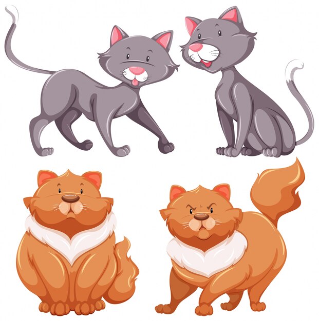 Set van schattige katten dunne en dikke illustratie