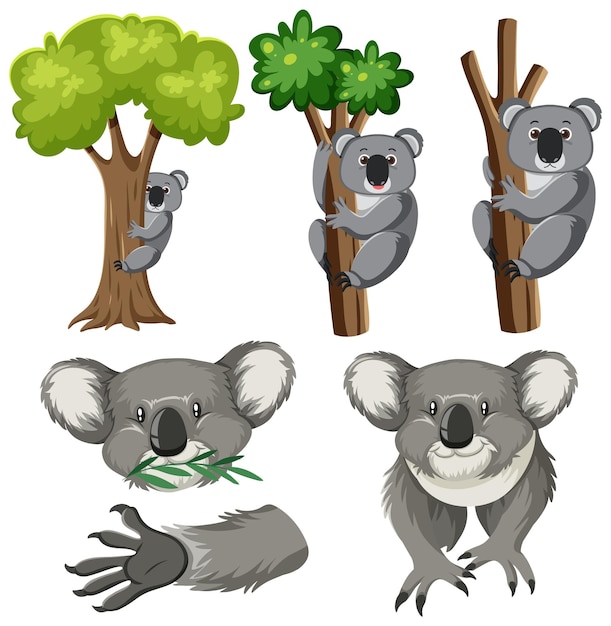 Gratis vector set van schattige koala stripfiguren