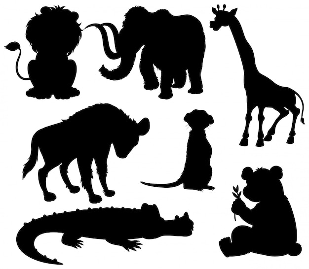 Set van silhouet wilde dieren