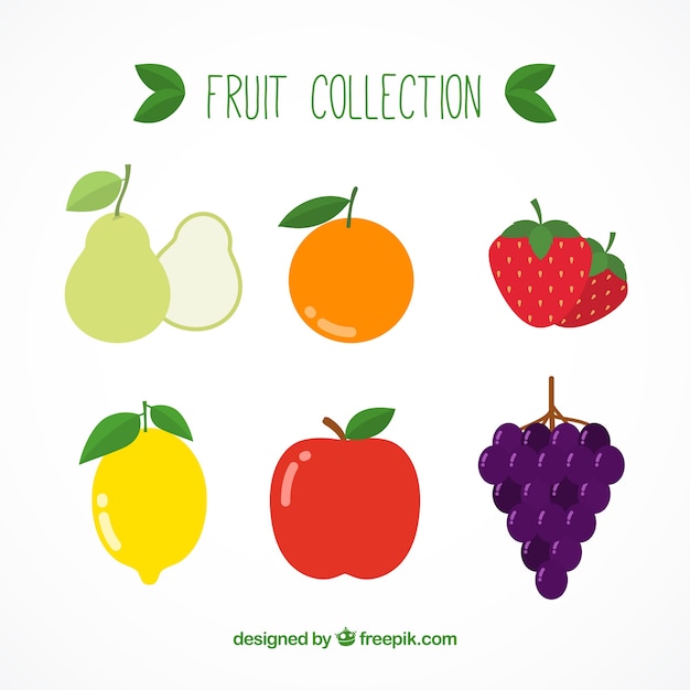 Set van smakelijke vruchten