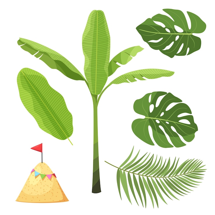 Gratis Vector set van songkran-festivalelement met bananenblad en monstera met kasteelzand voor grafisch ontwerp vectorillustratie