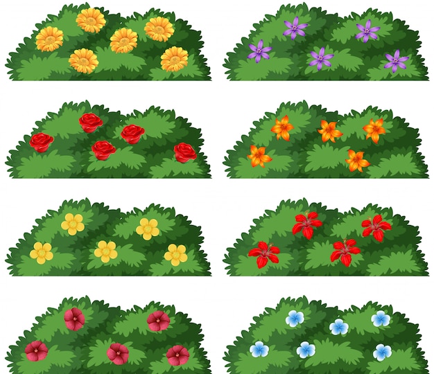 Gratis vector set van struiken met bloemen