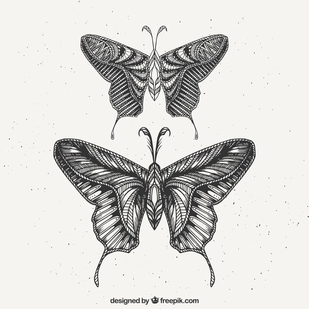 Set van twee met de hand getekende vlinders