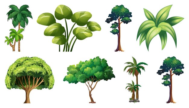 Set van variëteitsplanten en -bomen