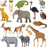 Gratis vector set van verschillende afrikaanse dieren