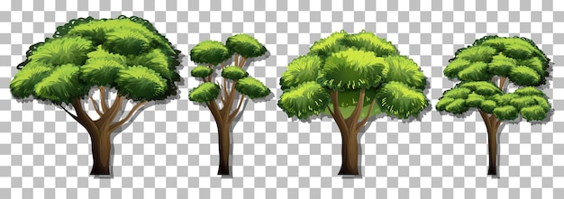 Gratis vector set van verschillende bomen op transparante achtergrond