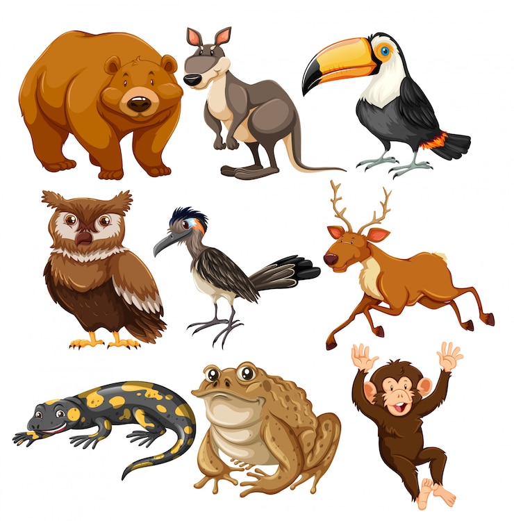 Gratis Vector set van verschillende dieren