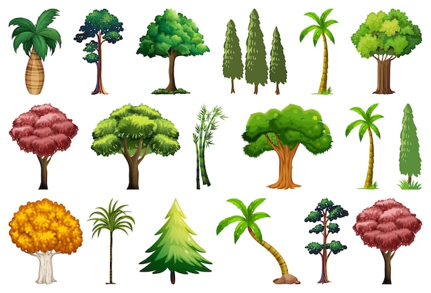 Gratis vector set van verschillende planten en bomen