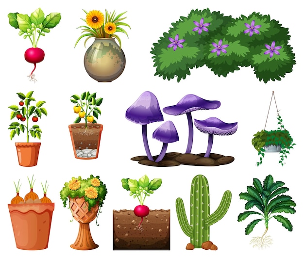 Gratis vector set van verschillende planten in potten geïsoleerd op een witte achtergrond